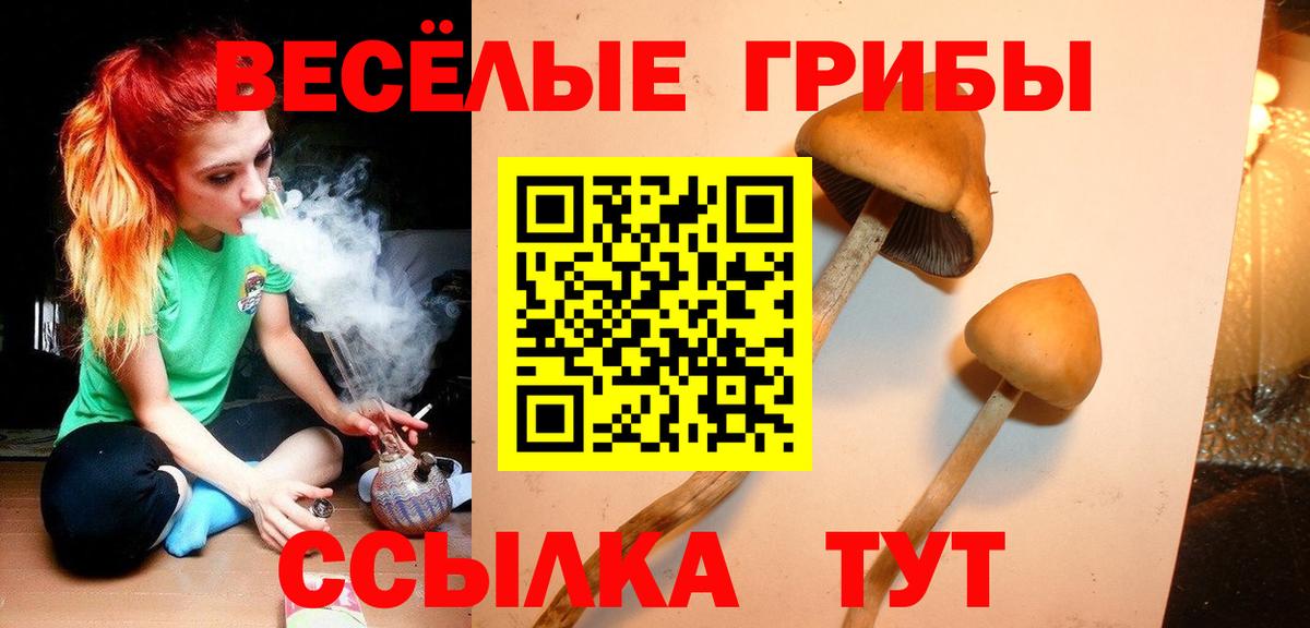 Кинель  Галлюциногенные грибы GOLDEN TEACHER  Вход с VPN 